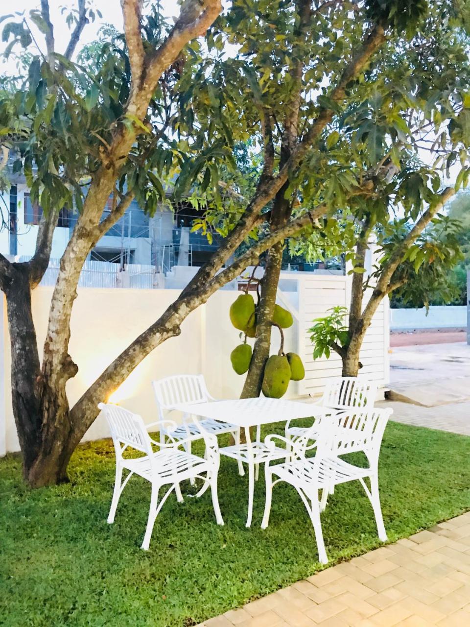 Royal White Tourist Rest Hotel Анурадхапура Екстериор снимка